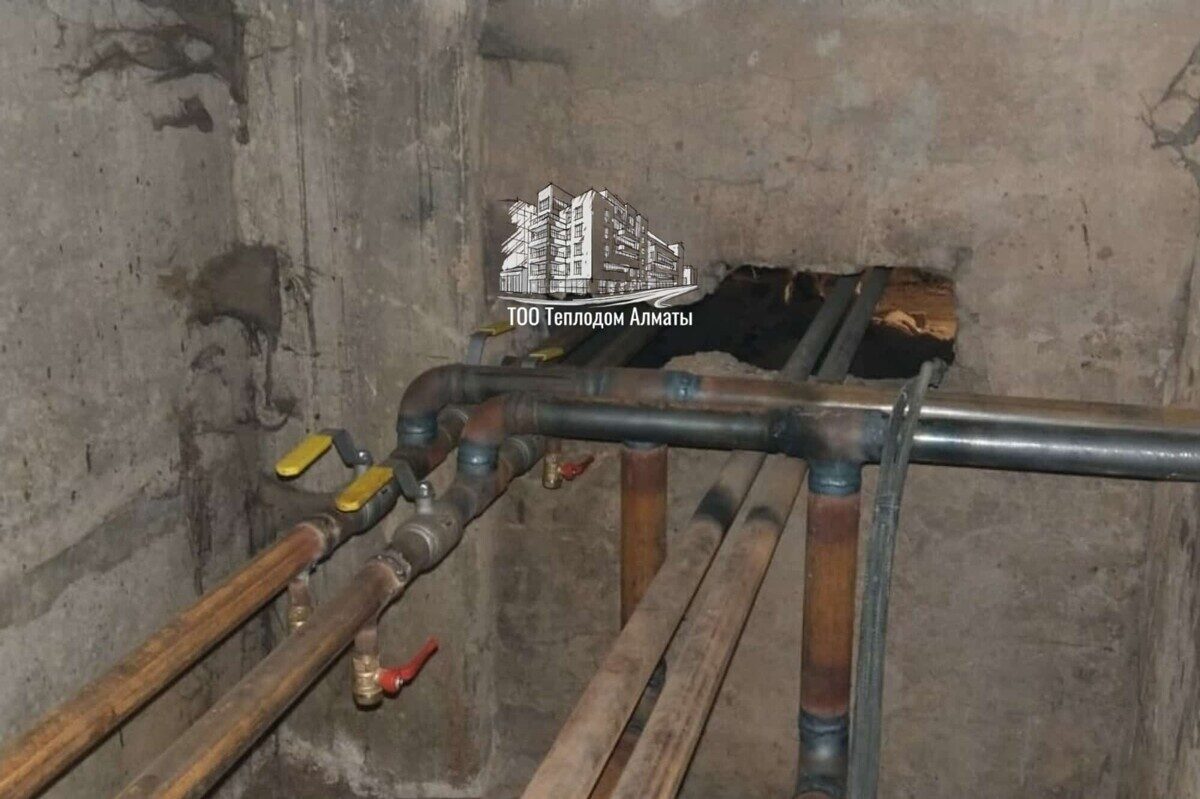 Изображение №1